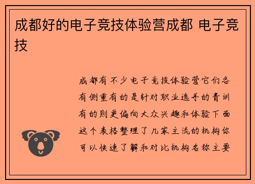 成都好的电子竞技体验营成都 电子竞技